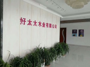 公司介绍